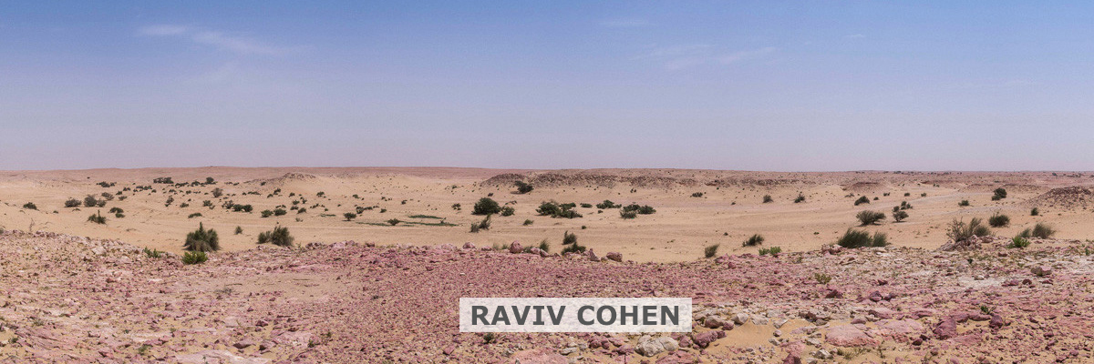 Qatar e-Nature – Ecosystems – Rocky Desert or Hamada