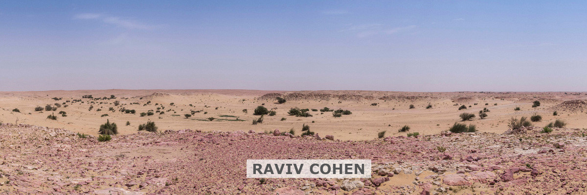 Qatar e-Nature – Ecosystems – Rocky Desert or Hamada Qatar e-Nature – Ecosystems – Rocky Desert or Hamada